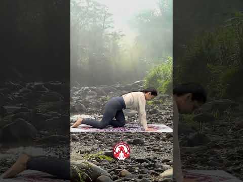 Yoga For Back Pain | Women Wednesday | Gujarat State Yog Board #viralvideo