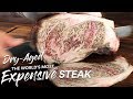 1 Million Special: DRY AGE Most EXPENSIVE Steak on Earth | Guga Foods