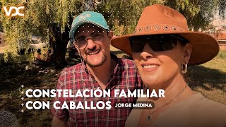 SANANDO EL ALMA: Impactante encuentro en constelación familiar con caballos | Verónica del Castillo