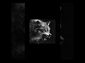 HARD PHONK TYPE BEAT — “REVENGE IS SWEET” | DRIFT / GYM / RAGE