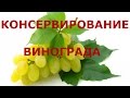 Консервирование Винограда / ВКУСНО, ЛЕГКО И ПРОСТО.