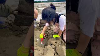 태안 맛조개 _20251009 #서해 #태안여행 #맛조개 #체험 #갯벌체험 #수선화펜션￼ #아이랑가볼만한곳
