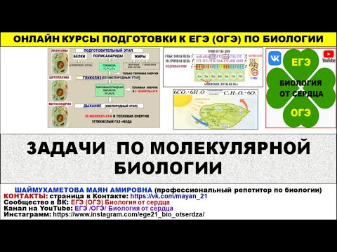 РЕШЕНИЕ ЗАДАЧ ПО МОЛЕКУЛЯРНОЙ БИОЛОГИИ