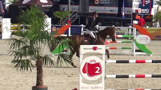 Mystic vh Hoogeinde - Belgian Championship 5 Years Old Horses Gesves 2017