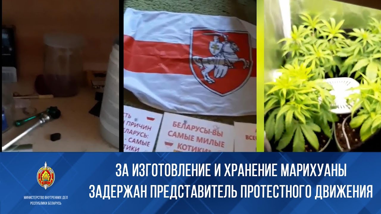 ответственность за хранение марихуаны ответственность за хранение марихуаны