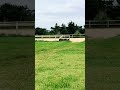 Milky Se Fait éjecter Par Balou 
