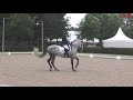 Rhin de Centurión – Final de 7 años - Campeonato del Mundo de Caballos Jóvenes - Equipo PRE