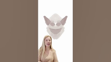 Record timelapse in photodhop