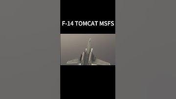 F14 TOMCAT IN MSFS     [MICROSOFT FLIGHT SIMULATOR 4K ULTRA] #aviation #f14 #msfs2020