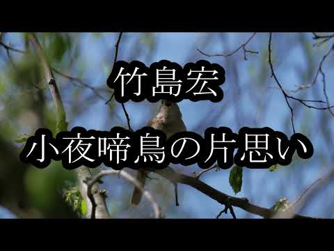 竹島宏　小夜啼鳥（さよなきどり）の片思い　カラオケ