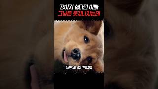 강아지 싫다던 아빠, 불쌍한 강아지는 못지나치는데