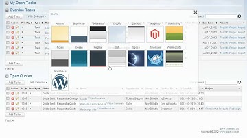 Skins in qdPM Extended 3.0 Project Management