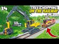 RISKY! TREE CHOPPING ON THE RAILWAY LINE | FS22 Platinum Edition - Episode 34