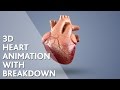 Making of 3D Heart (Animation)