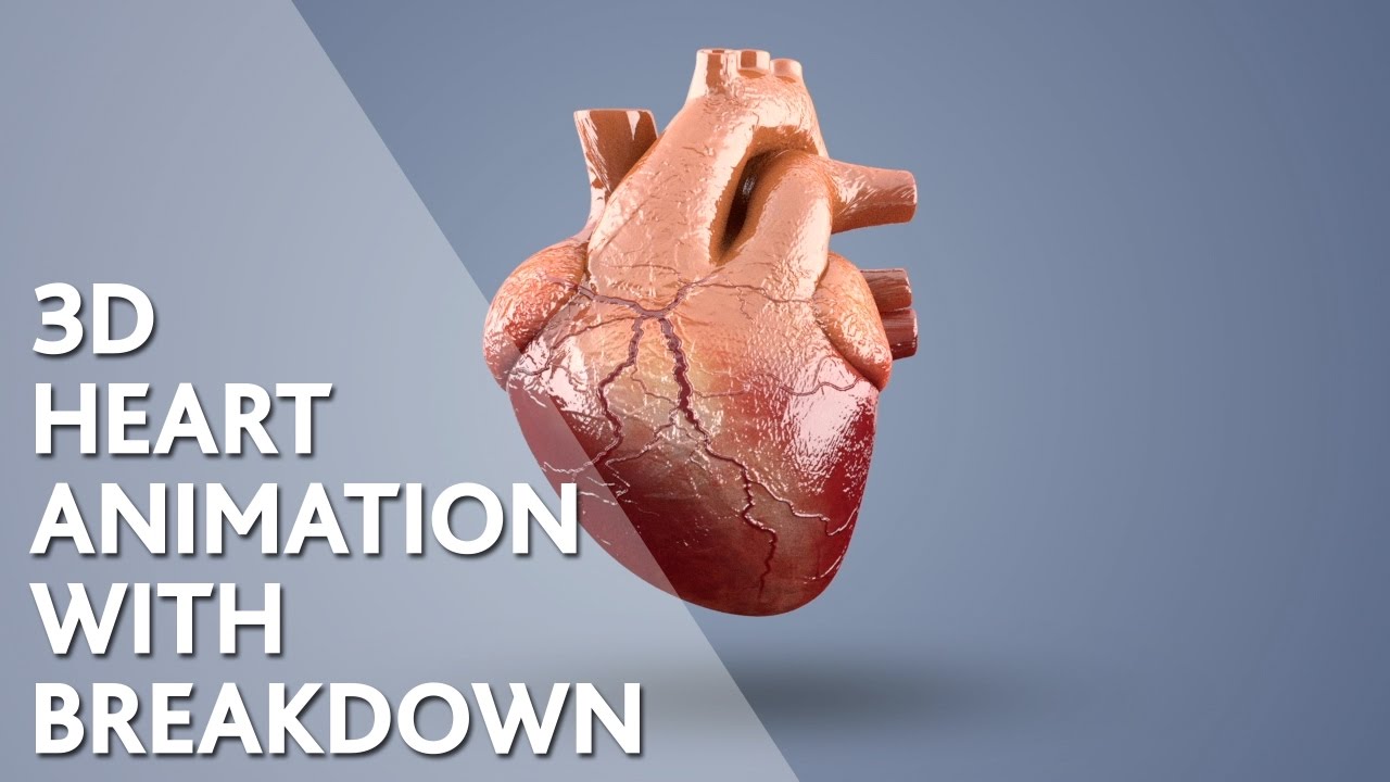 Making of 3D Heart (Animation) - YouTube