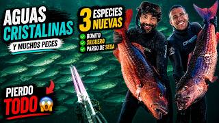 3 NUEVAS ESPECIES en Panamá 🔥… y pierdo el PARGO XL 😤 [Pesca Submarina]