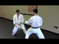 Rick Hotton Karate Seminar 07