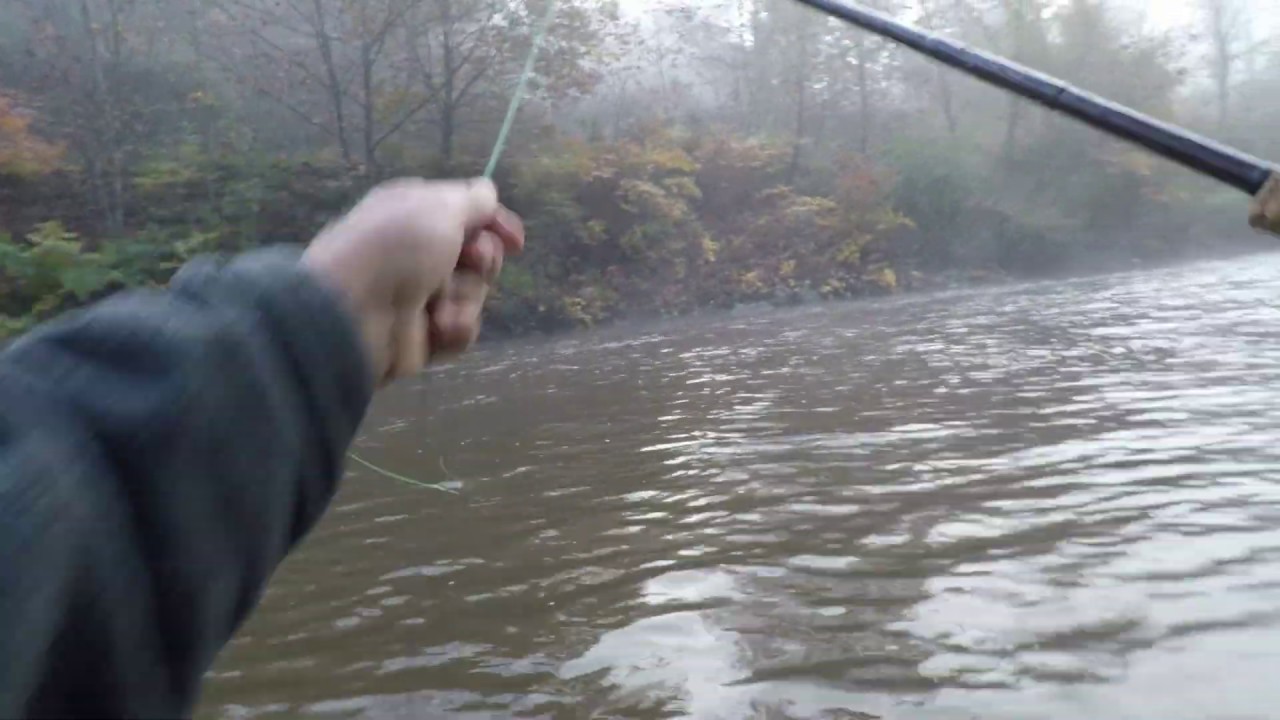 Fly Fishing the North Toe River with Dave YouTube