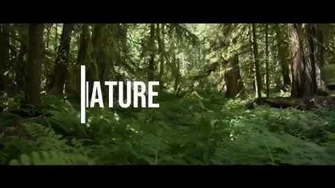 How to Add Text to Youtube Video - Amazing Text Effect with VSDC Free #1 ( Push Effect)