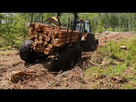 Video: Kā iepakot riepu?