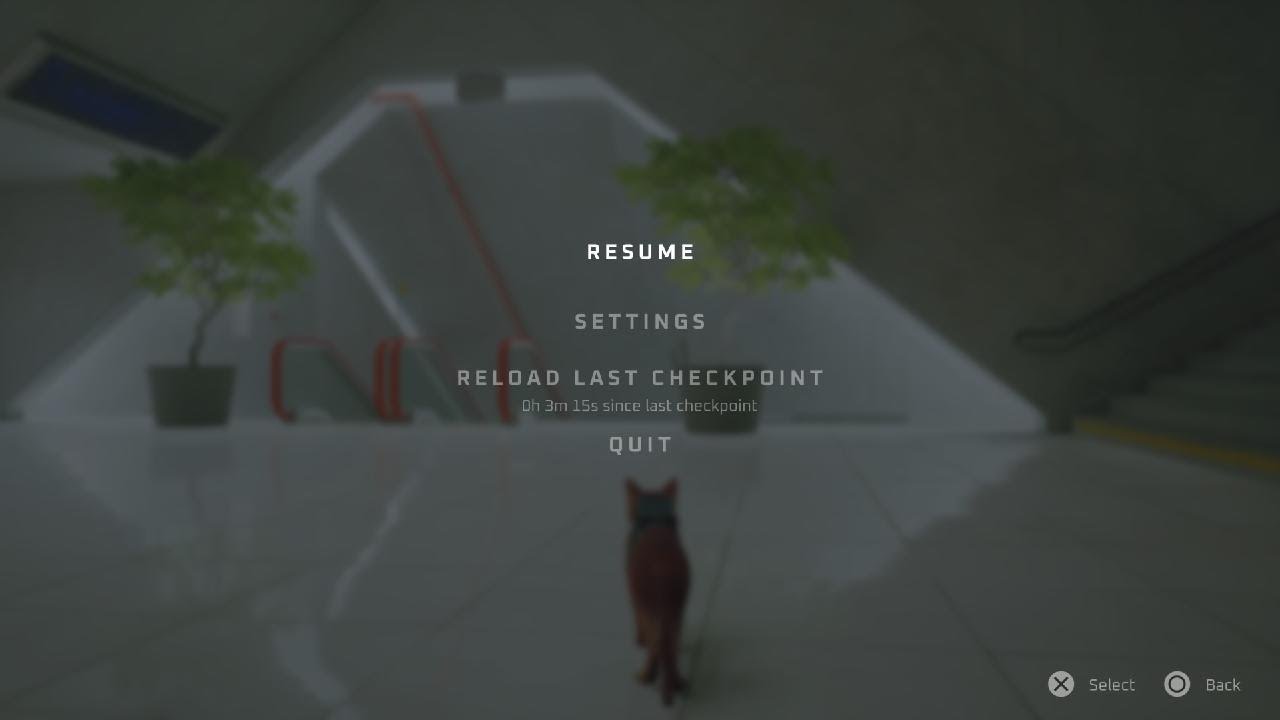 Stray الحلقة #١١،￼