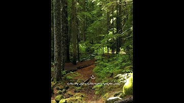 سورة ‏الأنعام ئایەتی ٥٤ بەتەفسیری کوردی بەدەنگی ادريس ابكر