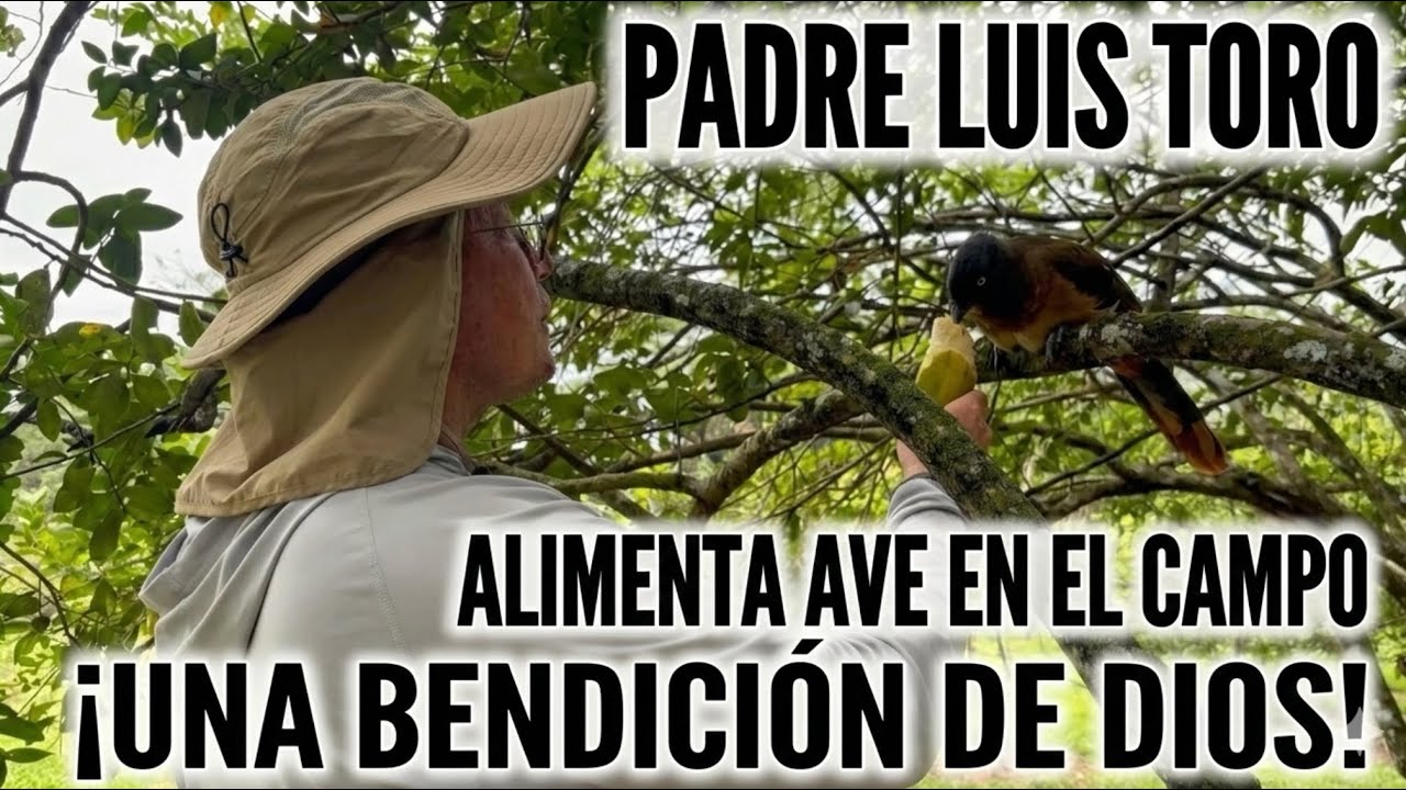 🔴Padre Luis Toro Recibe Una Bendición De Dios Al Alimentar Un Ave En El Campo🙏🏼