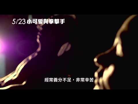 【小可愛與拳擊手】5/23中文預告_17MOVIE 電影預告