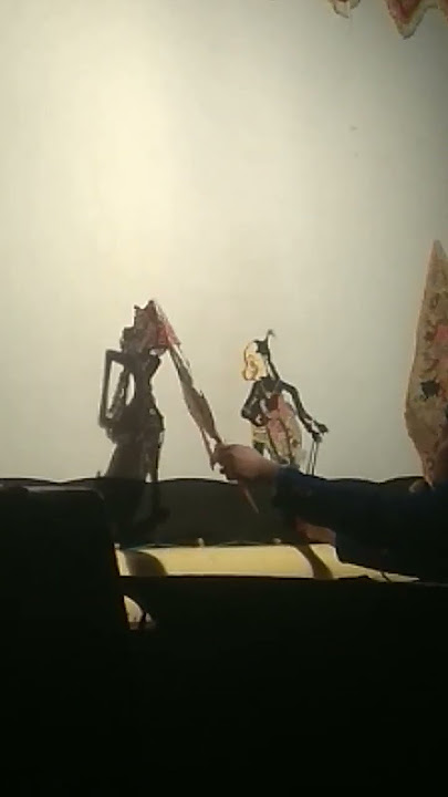bawor vs drona
