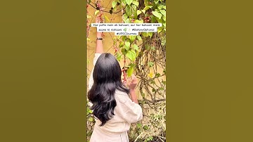 Upsc journey ||botany optional ||#studywithme #studymusic #studytips #exploremore#ytshorts #ytfeed