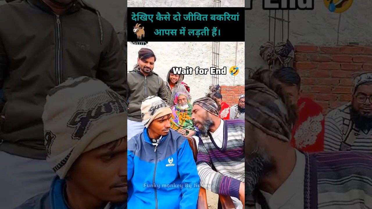 The GOAT of Comedy Voices Ranked 