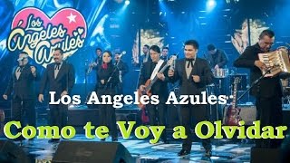 Video thumbnail of "Los Angeles Azules - Como Te Voy a Olvidar (Karaoke Ventura)"