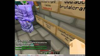 BrutalCraft - How to use Auction