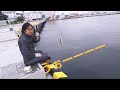 宮城県塩釜港で釣りしてみた❗