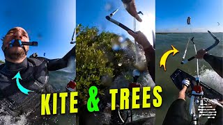 Guy Piloting a Kite Crashes into Trees