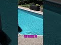 Pool Cleaner Parking, Sinking, and HEAVY Retrieval Explained!