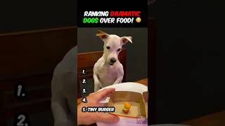 Ranking DOGS Getting BETRAYED By FOOD! 😭🐶 #funny #dogs #dogvideos #dogshorts #ranking #viral #food