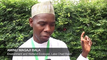 IUCN BRIDGE Project: How to build water cooperation across borders [Video]