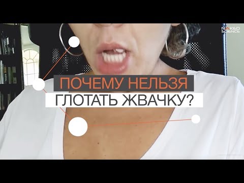 Почему нельзя глотать жвачку?