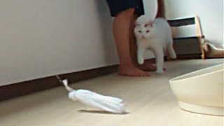 【手作りのおもちゃ】飼い主が猫におもちゃを作ってあげました。☆The owner made a toy for the cat.