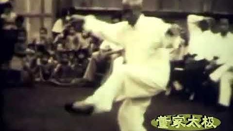 董英傑太極快拳 Tung Ying Chieh Taiji Tai Chi Fast Form
