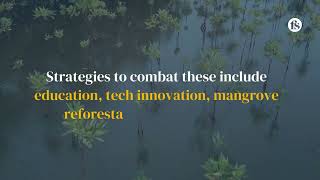 The project making waves in the Vietnamese shrimp sector - The short of it