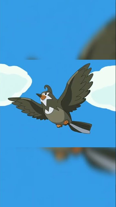 Ash's Starly evolves into Staravia Ash's Starly evolves into Staravia