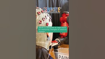 Brain reading robots