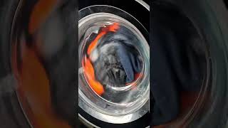 Hotpoint NSWR843C Mixed 40'c Full Cycle