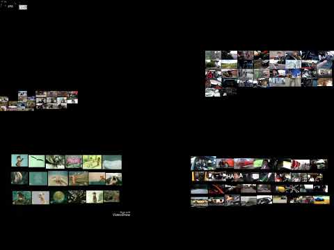 Видео: 63 созданных видео сразу
