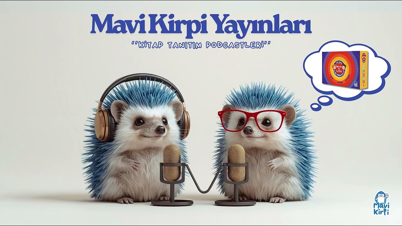 Mete İle Çetin İşler Beklemesin - 4. Sınıf Hikaye Seti (10 Kitap