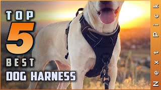 Top 5 Best Dog Harnesses Review | For Large Dogs To Stop Pulling [2023]