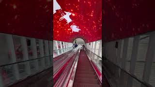 New Zone Importados Ciudad Dell Este