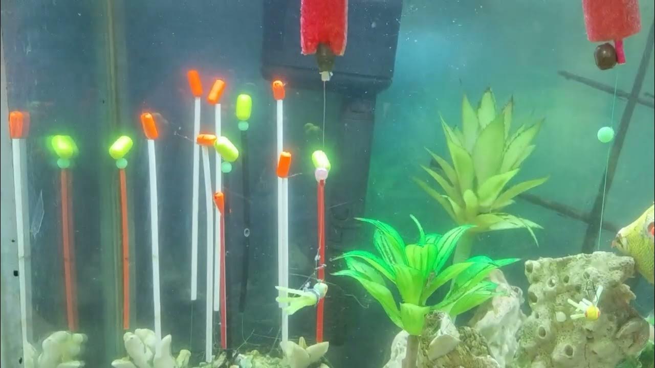 Hard body tube baits for Crappie, Trout, and White Bass underwater